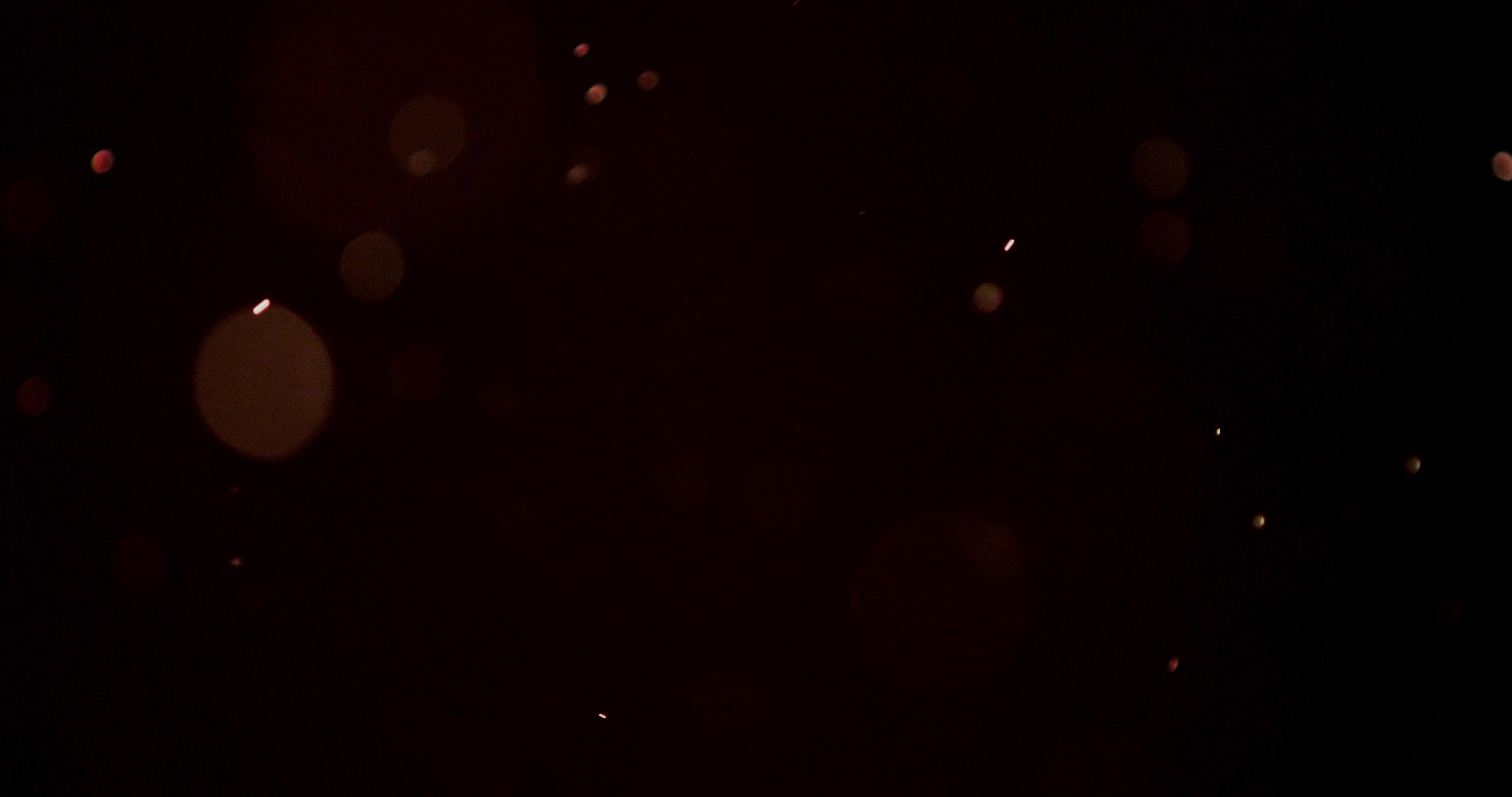 Particles_48___45s___4k_res.mp4