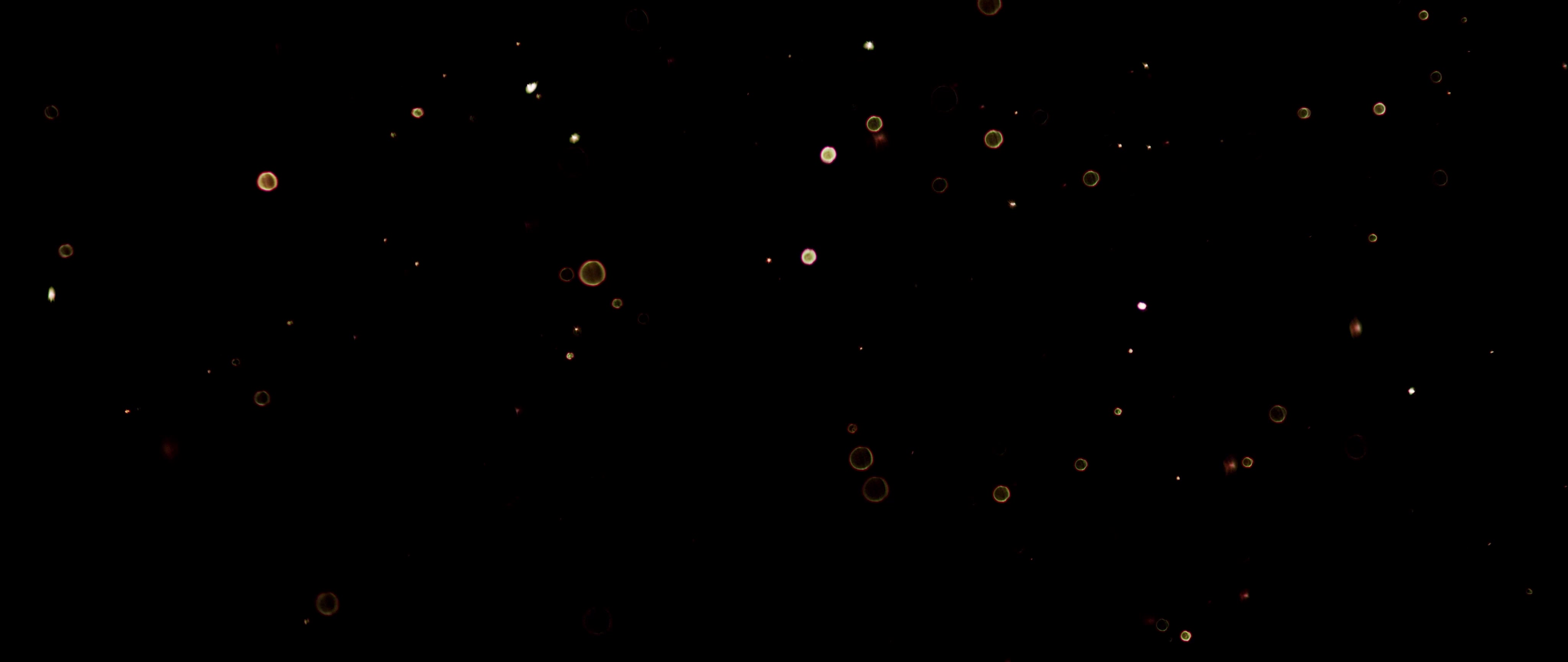 Particles_7___48s___4k_res.mp4